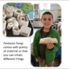 Individual Kit - Fantastic Fungi - Image 3