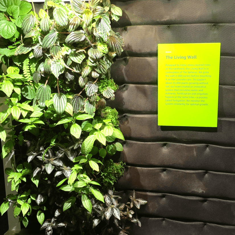 a small green wall (a wall with plants on it)