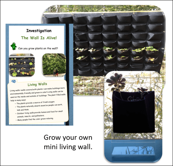 A photo collage of a student notebook, a real-world living wall, and the small living wall included in the kit.